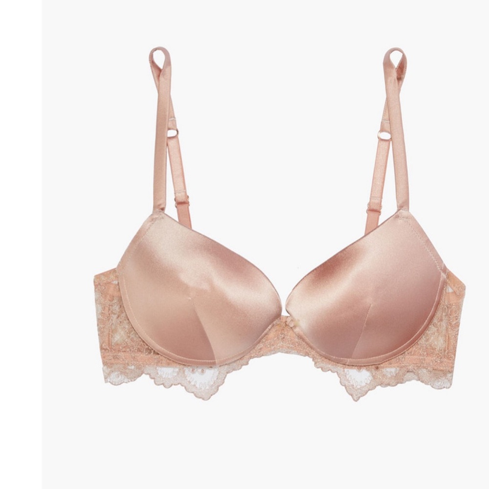 ID Sarrieri Desert Rose Gold Embroidered Stretch-Tulle Floral set size 34D/4 NWT - Picture 2 of 9
